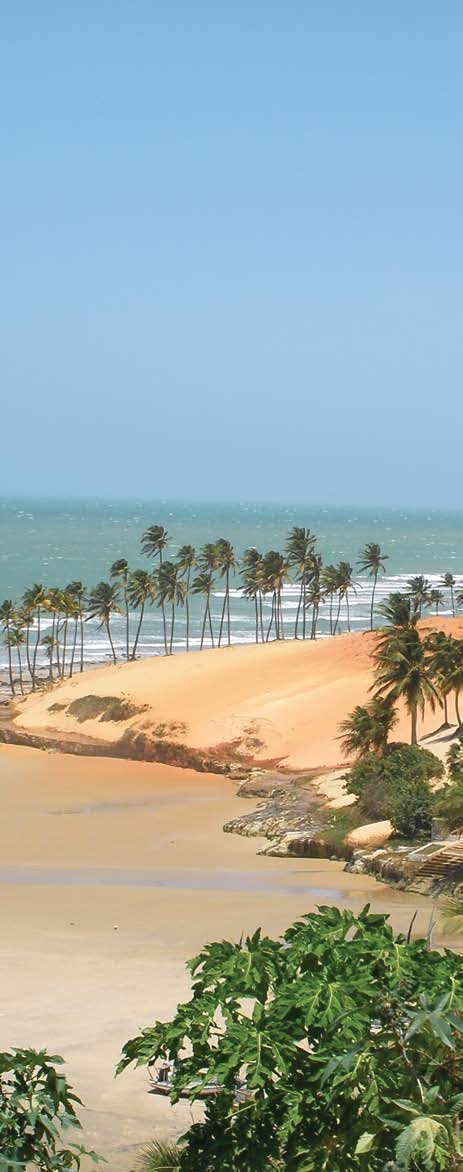  Beaches of Brazil