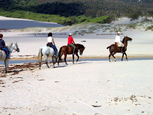 Horse riding on the beautiful white sandy beaches
